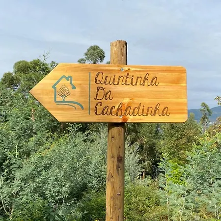 Quintinha Da Cachadinha