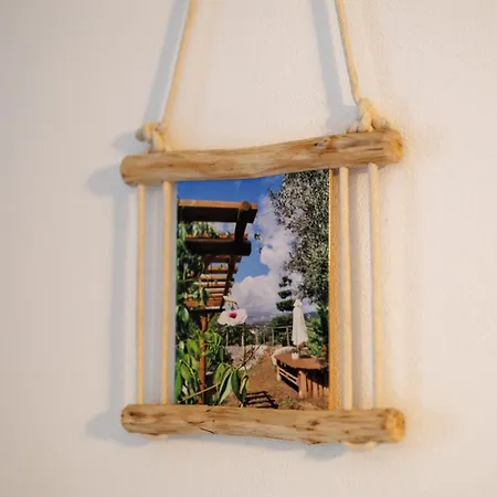 Quintinha Da Cachadinha