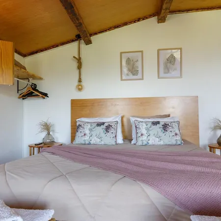 Quintinha Da Cachadinha