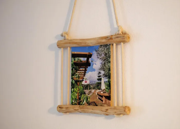 Quintinha Da Cachadinha