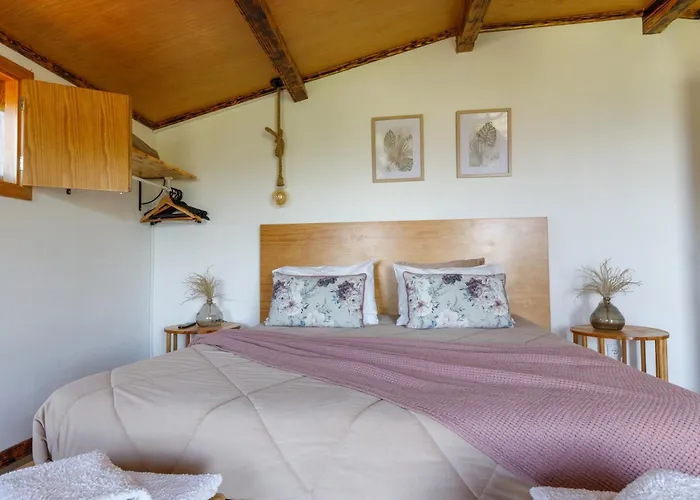 Quintinha Da Cachadinha