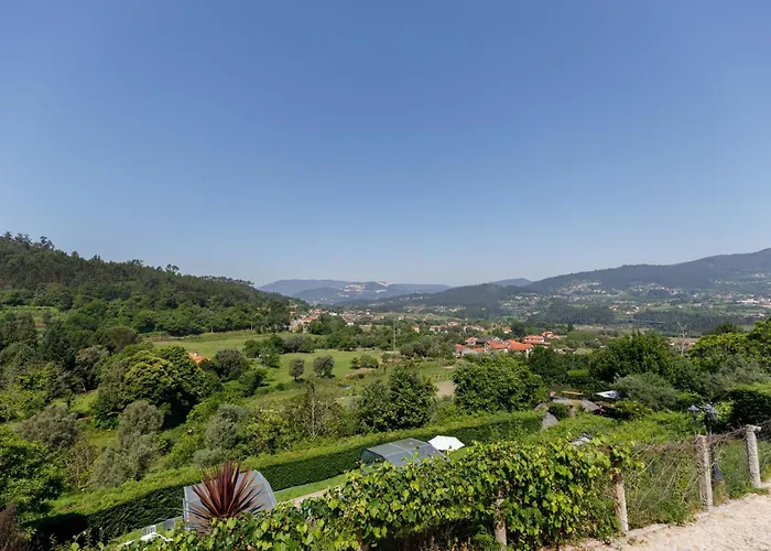 Quintinha Da Cachadinha *