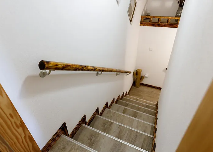 Quintinha Da Cachadinha *